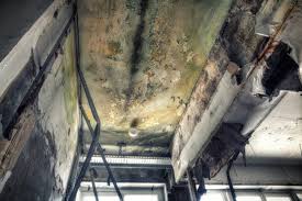 Best Mold Prevention Services  in Awendaw, SC